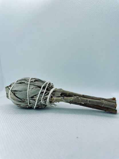 Sálvia Branca - Ramo 10cm