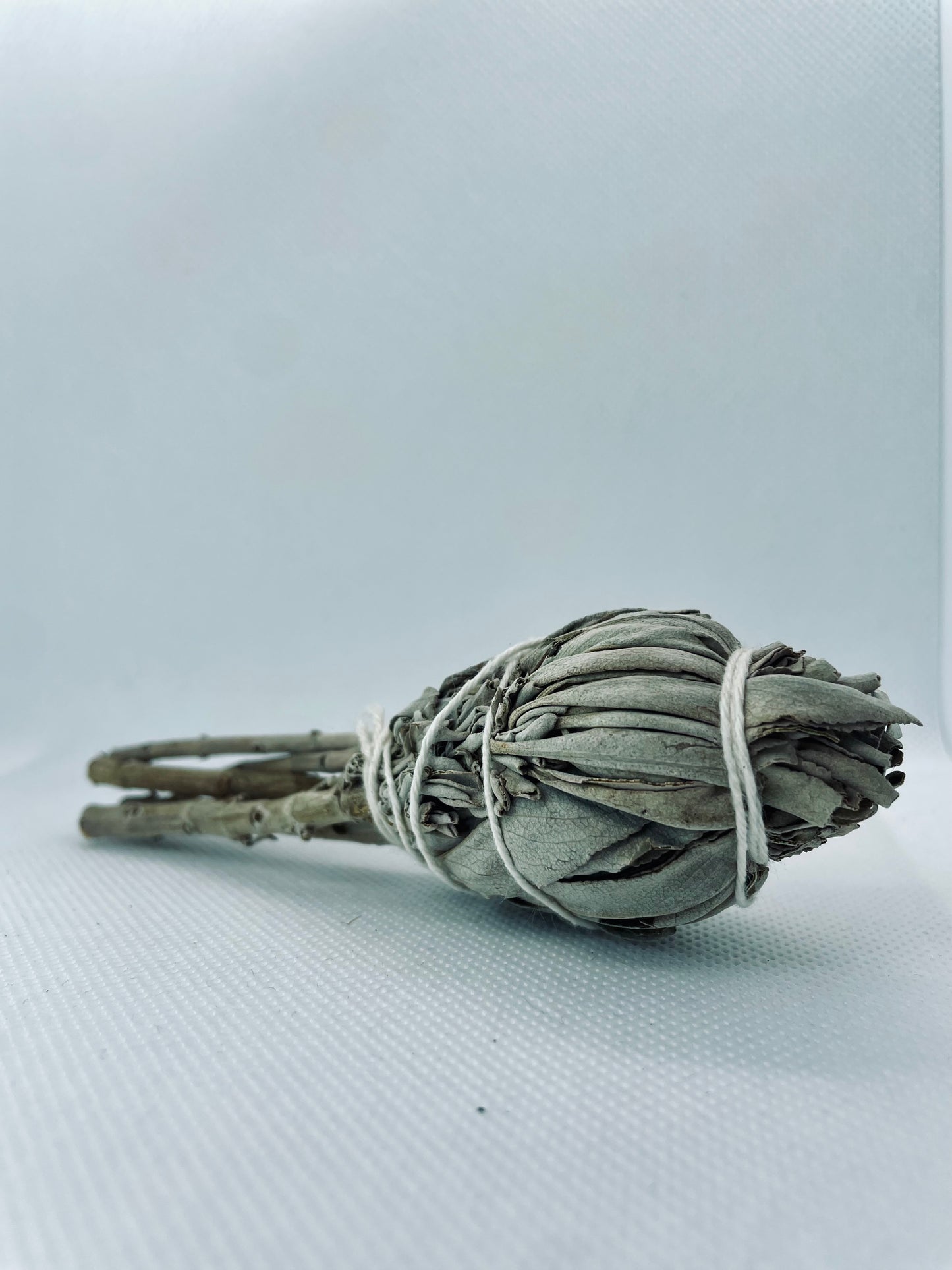 Sálvia Branca - Ramo 10cm