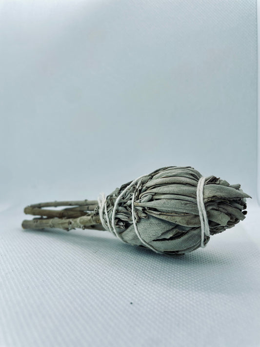 Sálvia Branca - Ramo 10cm